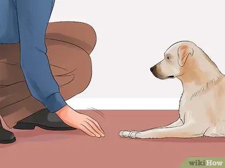 Image titled Teach Your Dog to Play Dead on Command Step 1