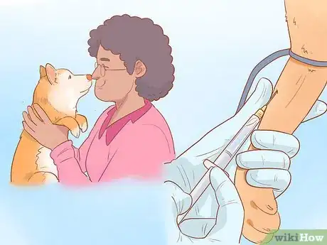 Image titled Cure a Dog's Bad Breath Step 12