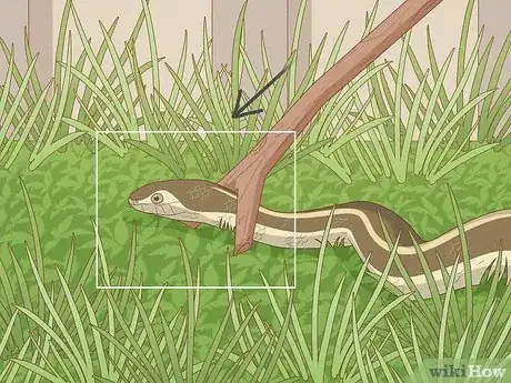 Image titled Catch a Garter Snake Step 13