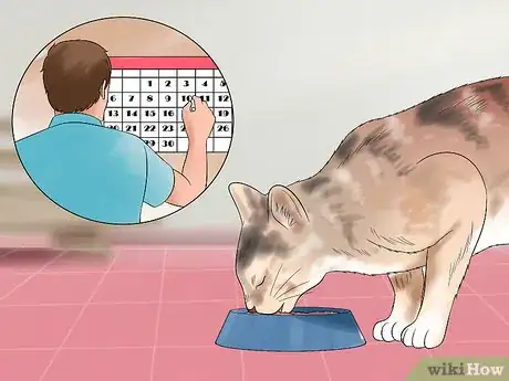 Image titled Move with a Cat Step 13