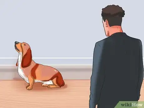 Image titled Check Your Dog's Weight Step 13