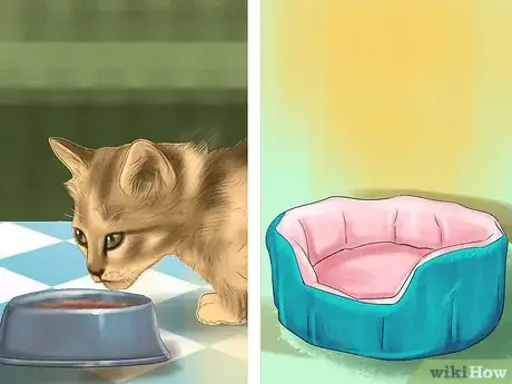 Image titled Plan a Feeding Schedule for Your Cat Step 7