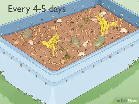 Image titled Grow Your Own Fishing Worms Step 10