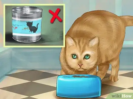 Image titled Choose a Diet for IBD Cats Step 9