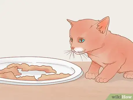 Image titled Introduce Your Kitten to the Outdoors Safely Step 5