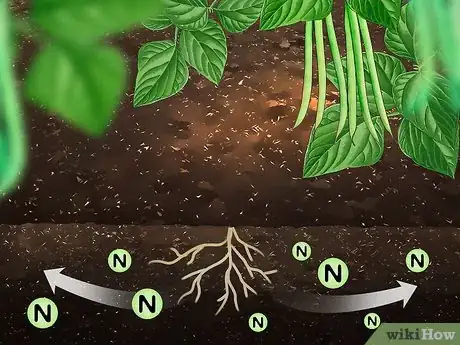 Image titled Increase Nitrogen in Soil Step 9