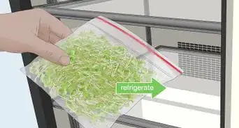 Grow Alfalfa Sprouts