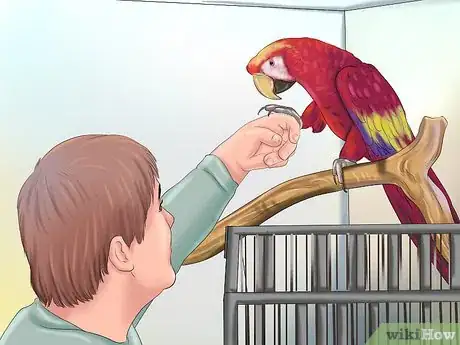 Image titled Train a Bird to Step on Your Finger Step 11