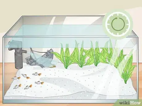 Image titled Clean a Planted Fish Tank Step 12