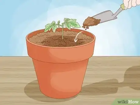 Image titled Plant Step 18