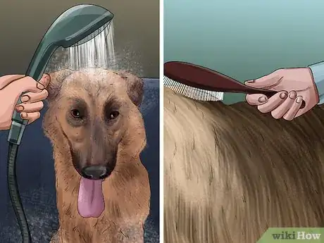 Image titled Take Care of a German Shepherd Step 10