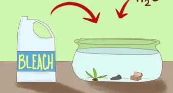 Get Rid of Snails in an Aquarium