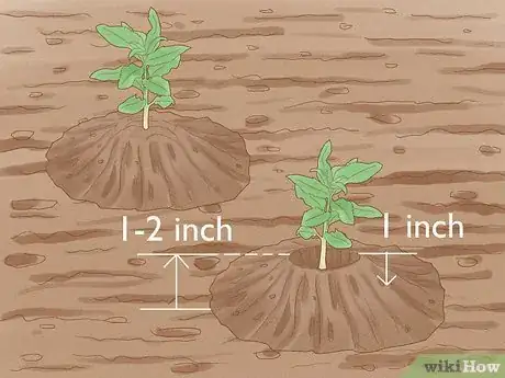 Image titled Grow Almonds Step 5