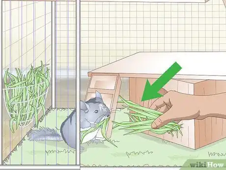 Image titled Care for Chinchillas Step 10