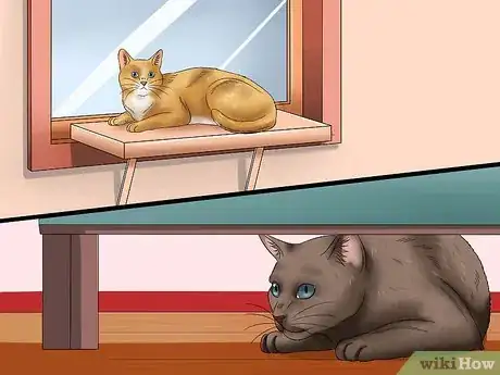 Image titled Create a Room for Your Cat Step 3