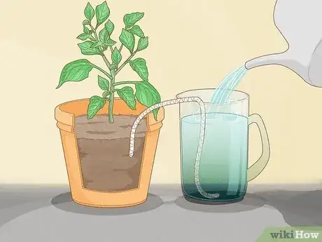 Image titled Water Plants While You're Away Step 11