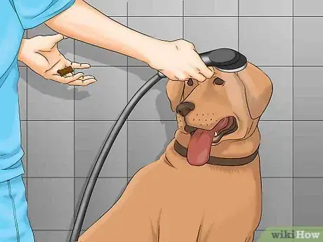 Image titled Bathe a Dog in a Shower Step 10