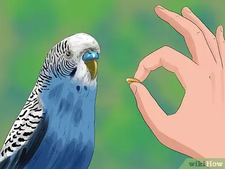 Image titled Teach a Budgie to Catch Flies Step 2