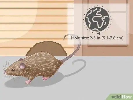 Image titled How Do You Identify Burrowing Animal Holes Step 13