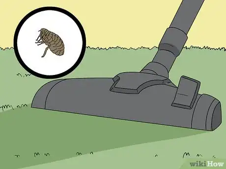 Image titled Do Pest Control With a Vacuum Cleaner Step 10