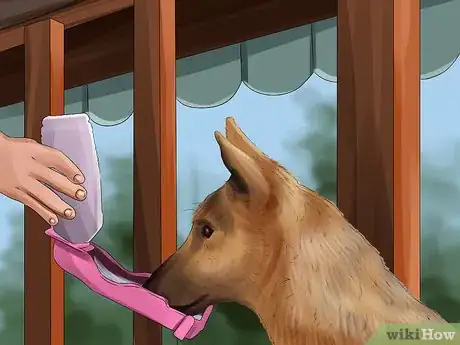 Image titled Take Care of a German Shepherd Step 14