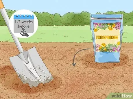 Image titled Add Phosphorus to Soil Step 6