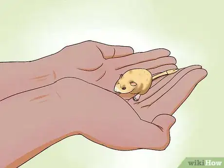 Image titled Pick up a Gerbil Step 9