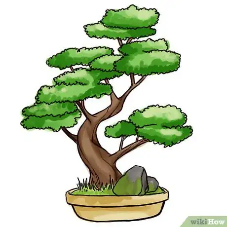 Image titled Bonsai Intro