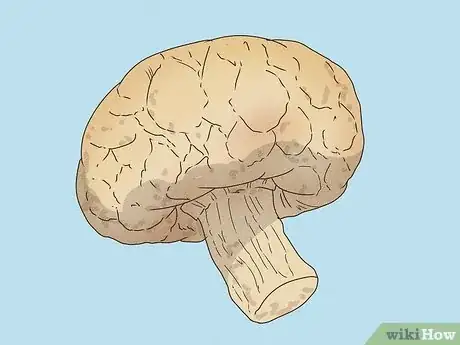 Image titled Tell if Mushrooms Are Bad Step 12