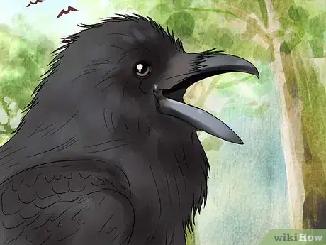 Image titled Tell the Difference Between Crows and Ravens Step 14