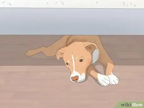 Image titled Why Does My Dog Sleep Under My Bed Step 5