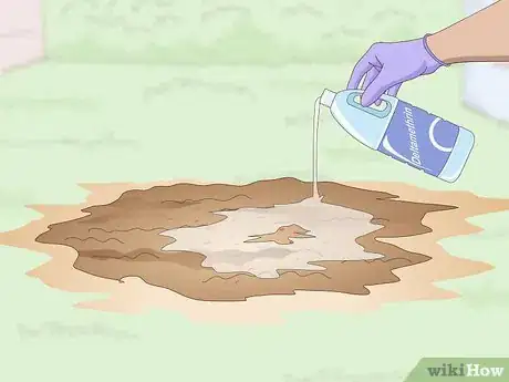 Image titled Get Rid of an Ant Hill Step 11