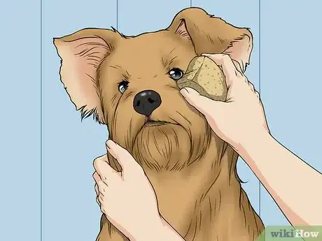 Image titled Wash a Dog's Face Step 10