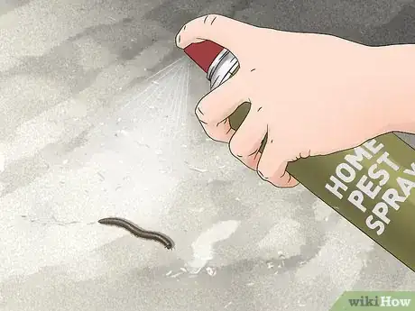 Image titled Get Rid of Millipedes Step 3