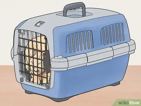 Image titled Keep a Cat Calm During a Move Step 5