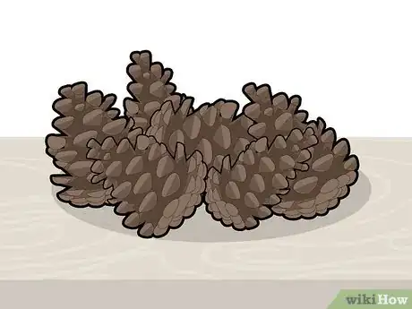 Image titled Bleach Pine Cones Step 3