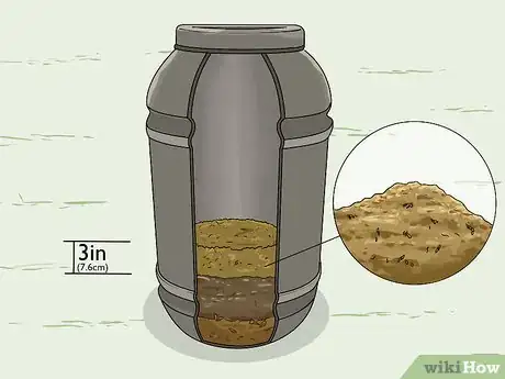 Image titled Build Humus Step 10