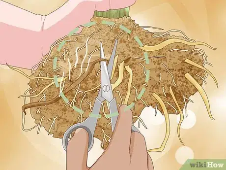 Image titled Save an Overwatered Plant Step 11