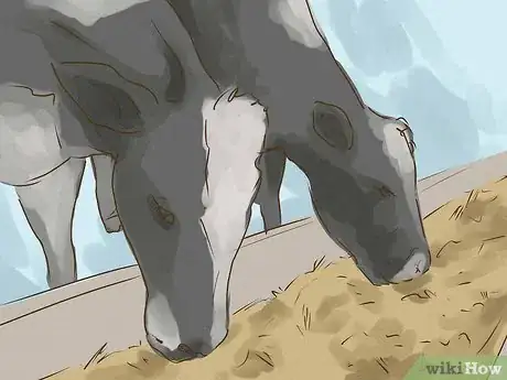 Image titled Avoid Mad Cow Disease Step 1