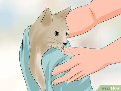 Image titled Make Your Cat's Fur Soft and Shiny Step 13