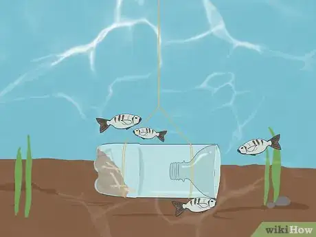 Image titled Catch Fish Without Using a Rod Step 9.jpeg