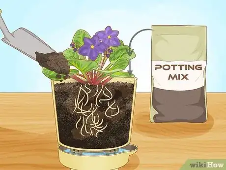 Image titled Use Self Watering Pots Step 3