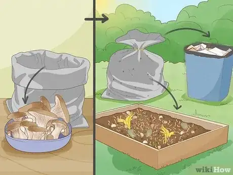 Image titled Grow Mushrooms Step 15