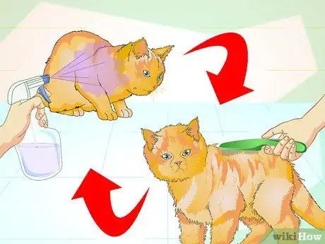 Image titled Make an Herbal Flea Remedy for Cats Step 17