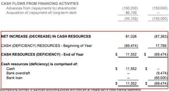 Write a Financial Statement