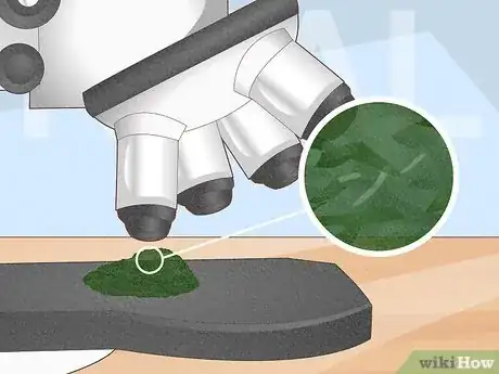 Image titled Tell if Moldavite is Real Step 4