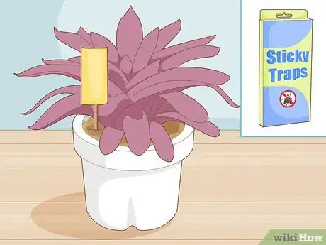 Image titled Get Rid of Gnats in Houseplants Step 5