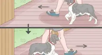 Keep a Dog from Jumping the Fence