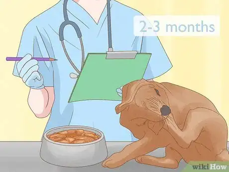 Image titled Diagnose and Treat Your Dog's Itchy Skin Problems Step 25