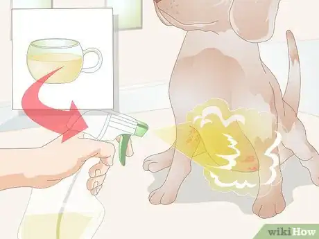 Image titled Get Rid of a Rash on a Dog Step 13